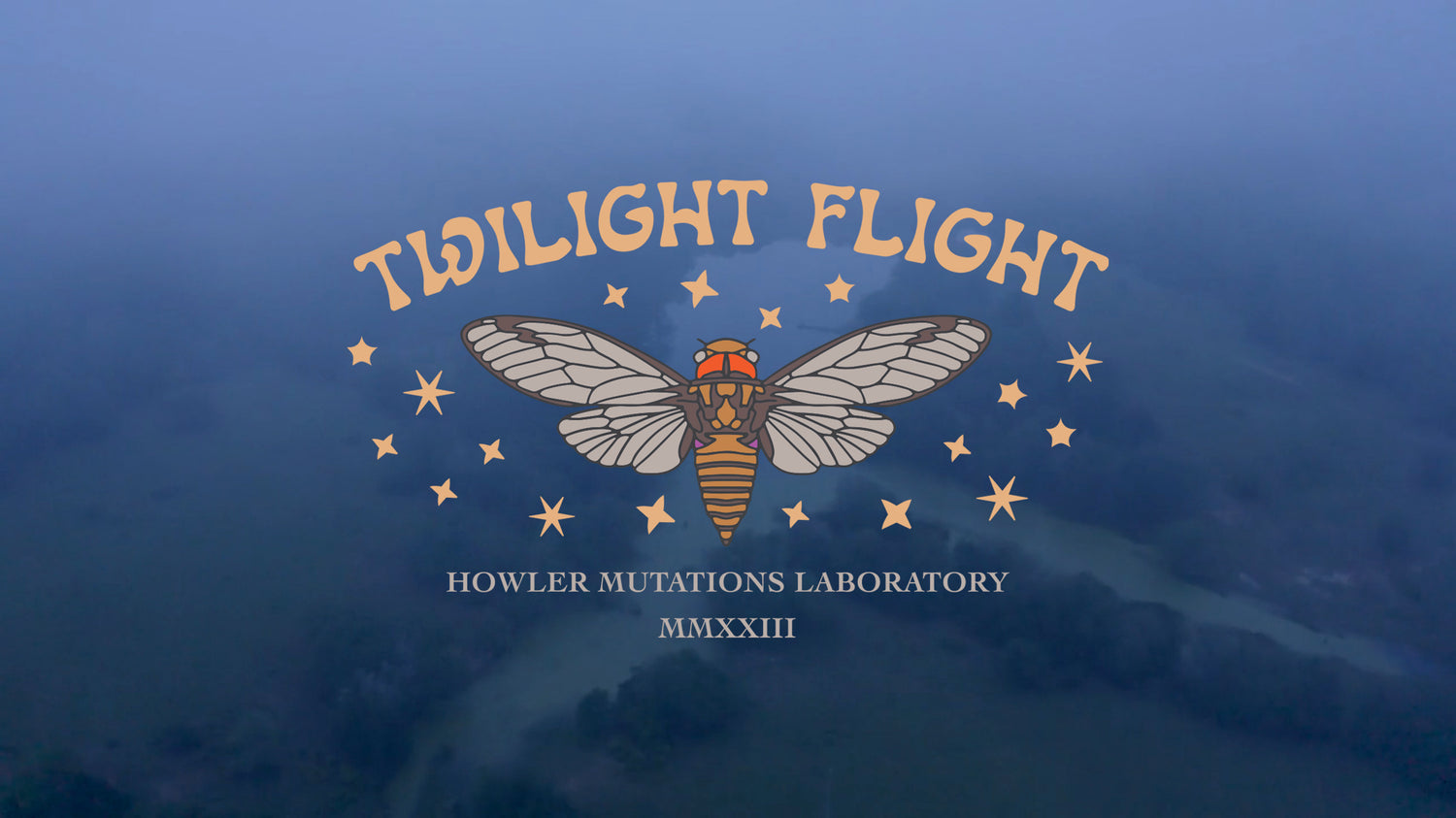 Twilight Flight