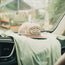 A beige and brown Howler Brothers trucker hat with an unstructured snapback and soft crown rests on a light green shirt draped over a car dashboard. The adjustable snapback closure shows in the cozy, blurred backdrop of greenery outside.