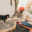 A person in a lightweight stretch shirt and orange cap crouches on a sidewalk, extending a hand toward a small, scruffy black and brown dog standing near the curb in a sunlit, narrow street.