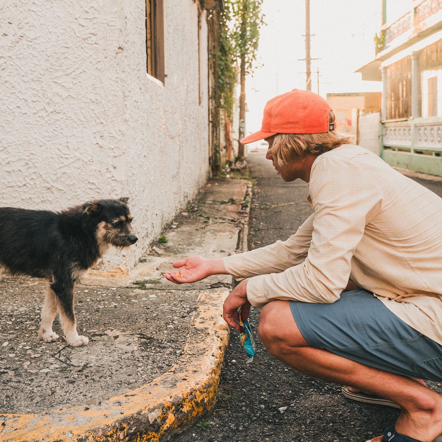 A person in a lightweight stretch shirt and orange cap crouches on a sidewalk, extending a hand toward a small, scruffy black and brown dog standing near the curb in a sunlit, narrow street.