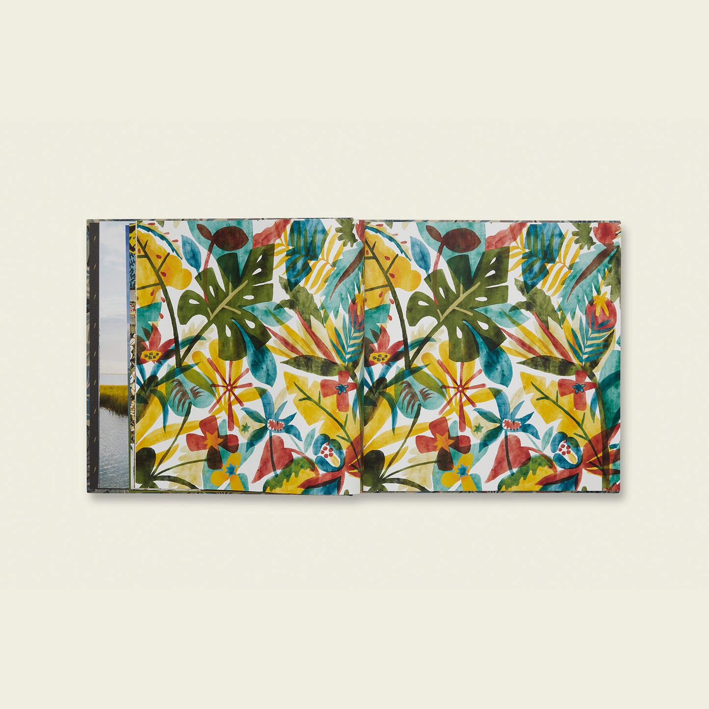 A Decade of Howler Brothers Book