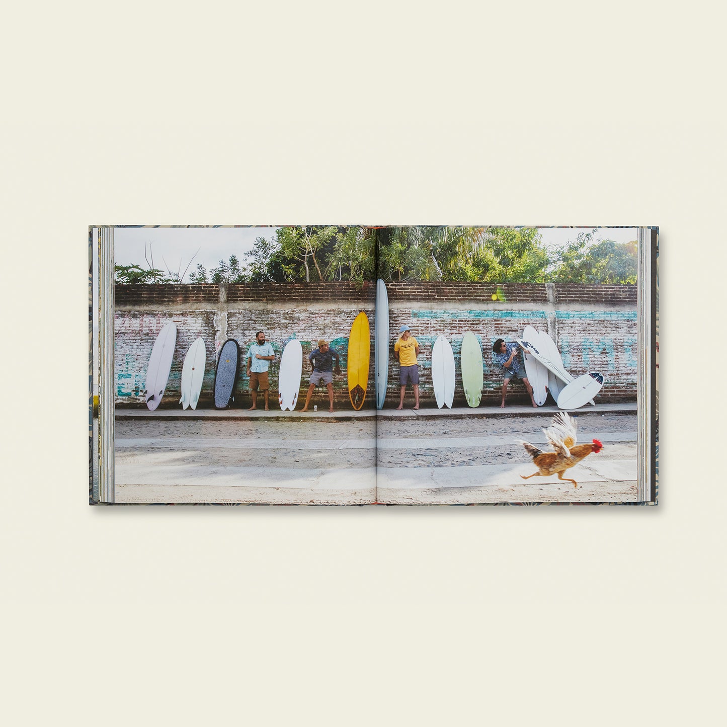 A Decade of Howler Brothers Book