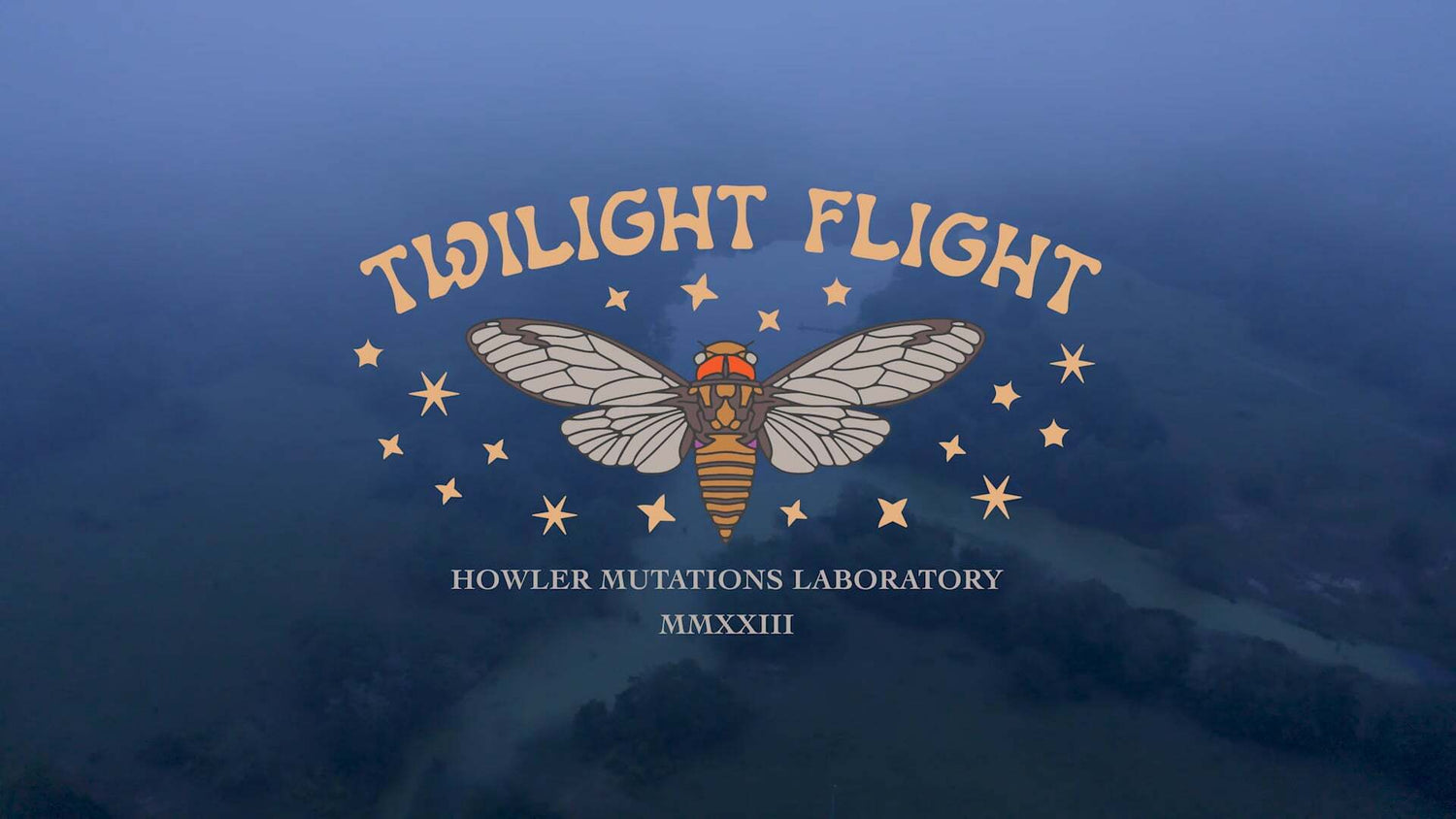 Twilight Flight
