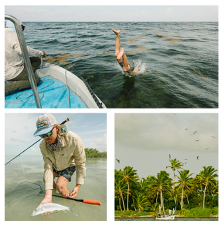 Dia Tres : The Power Of Three (Fish)