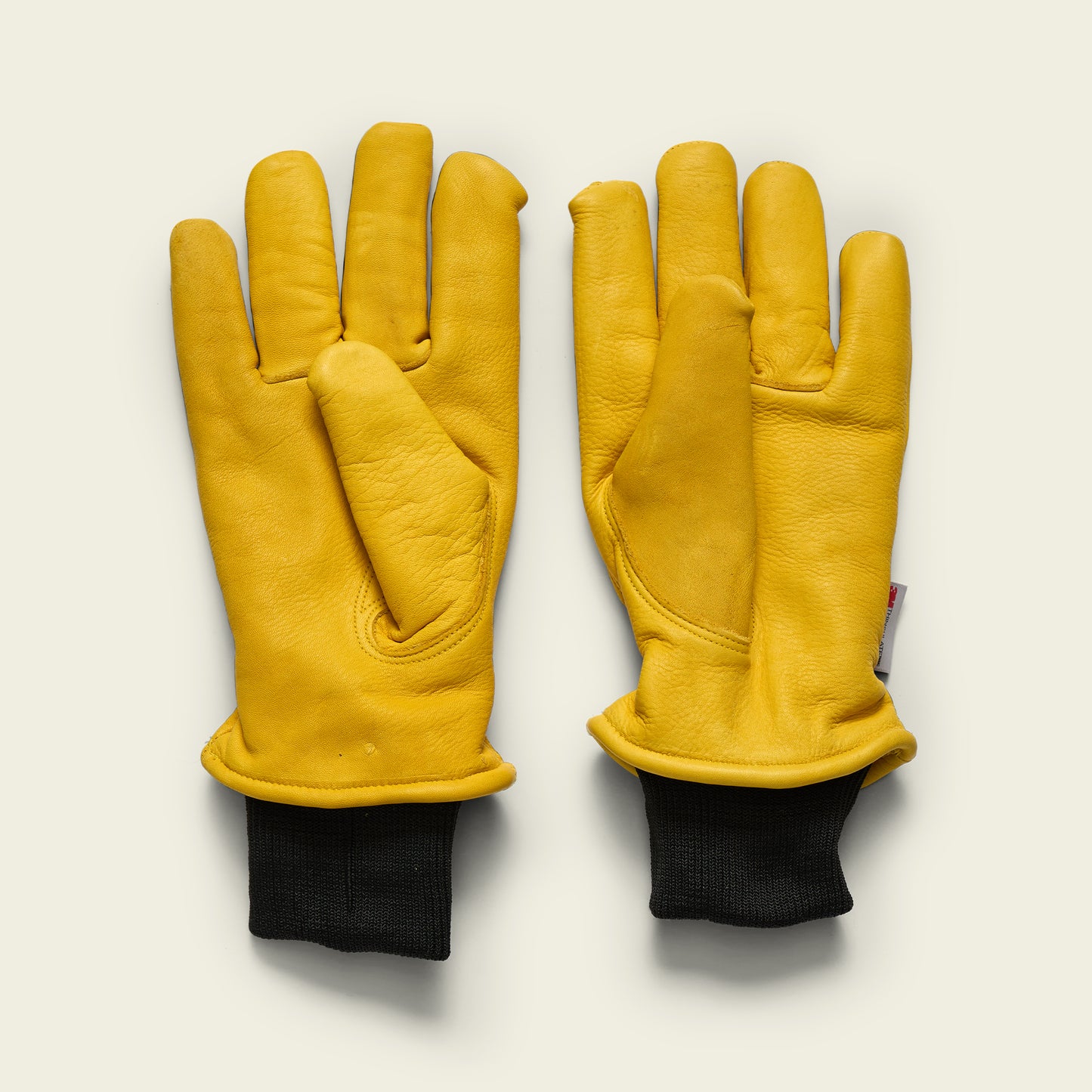 Skulls n’ Begonias Gloves