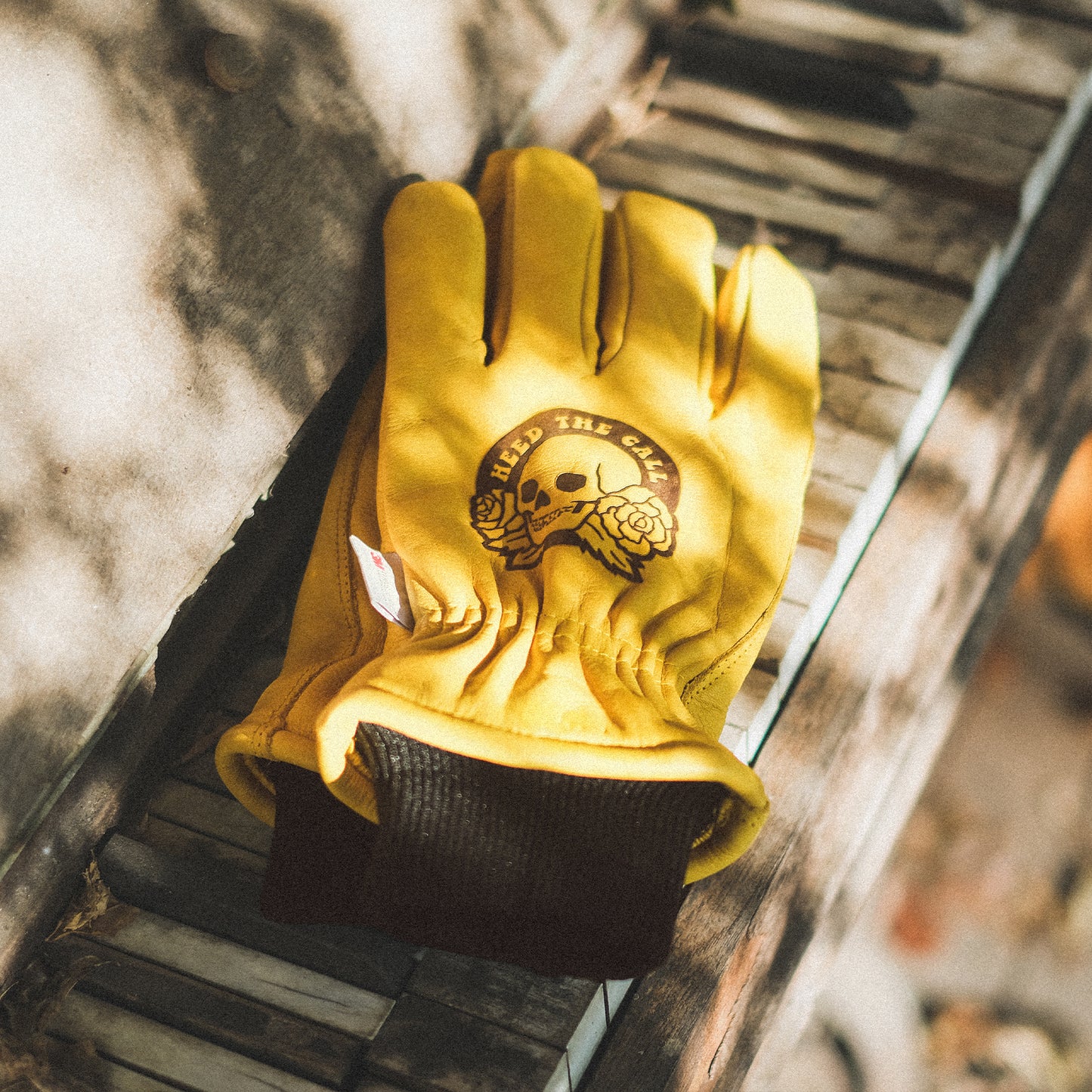 Skulls n’ Begonias Gloves
