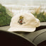 El Monito Surfs Snapback - Off White Corduroy