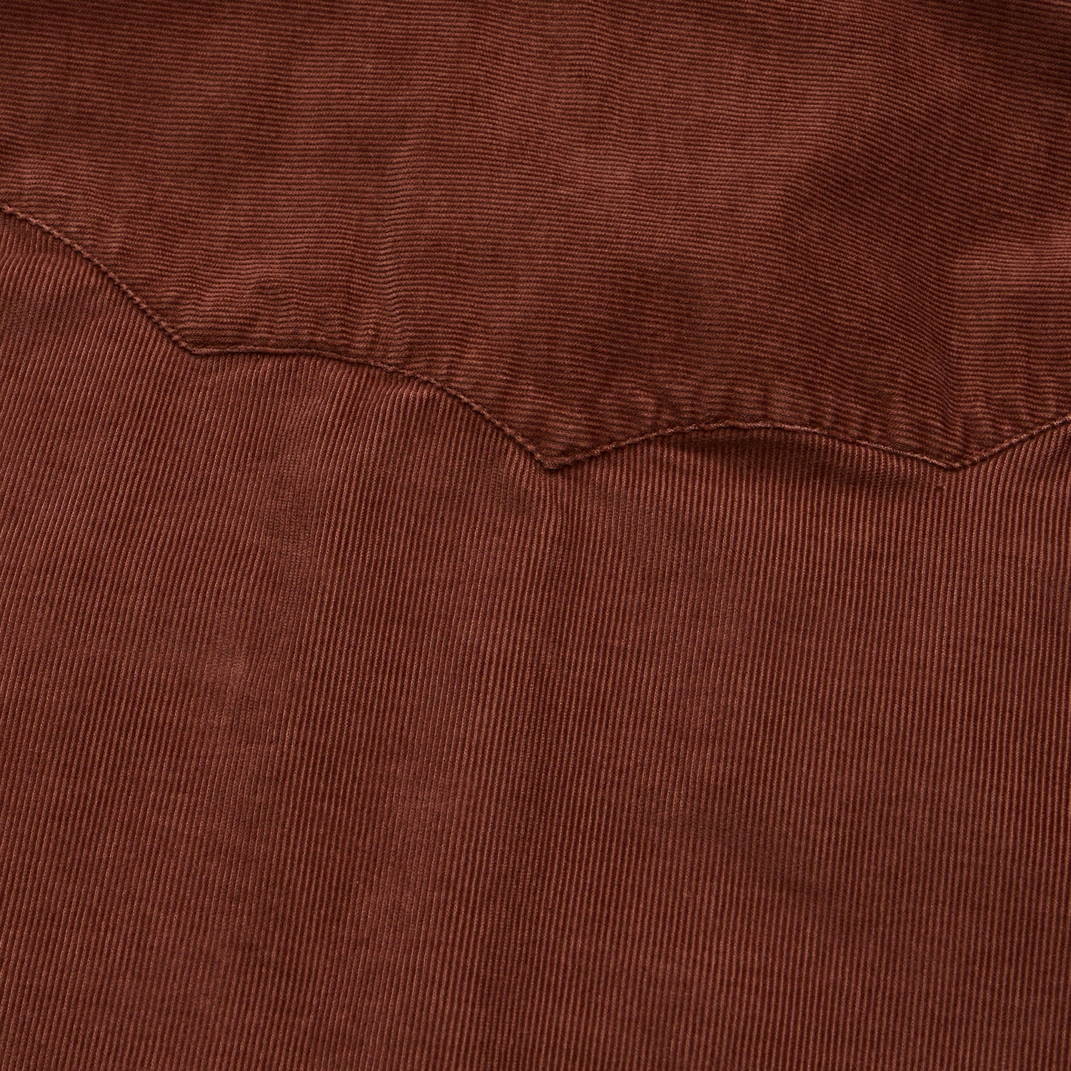 Banning Corduroy Snapshirt - Mink Brown - View 9