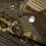 Tajima Hoodie - Canyon Codes : Capers