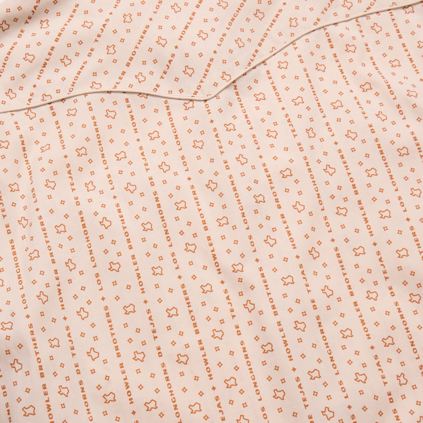 Texas Longhorns H Bar B Snapshirt - Los Longhorns Stripe : Riverbed Oxford - View 8