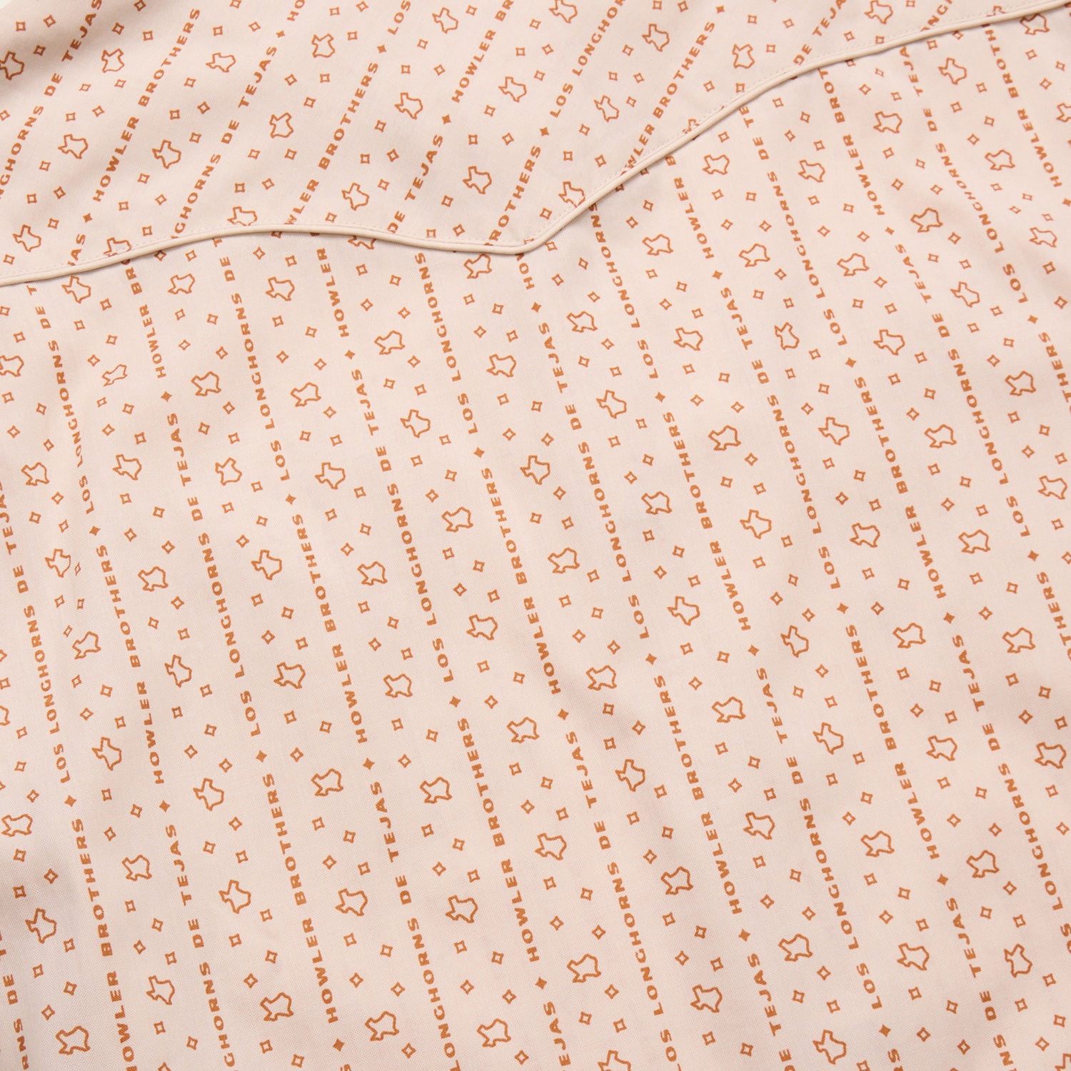 Texas Longhorns H Bar B Snapshirt - Los Longhorns Stripe : Riverbed Oxford - View 8