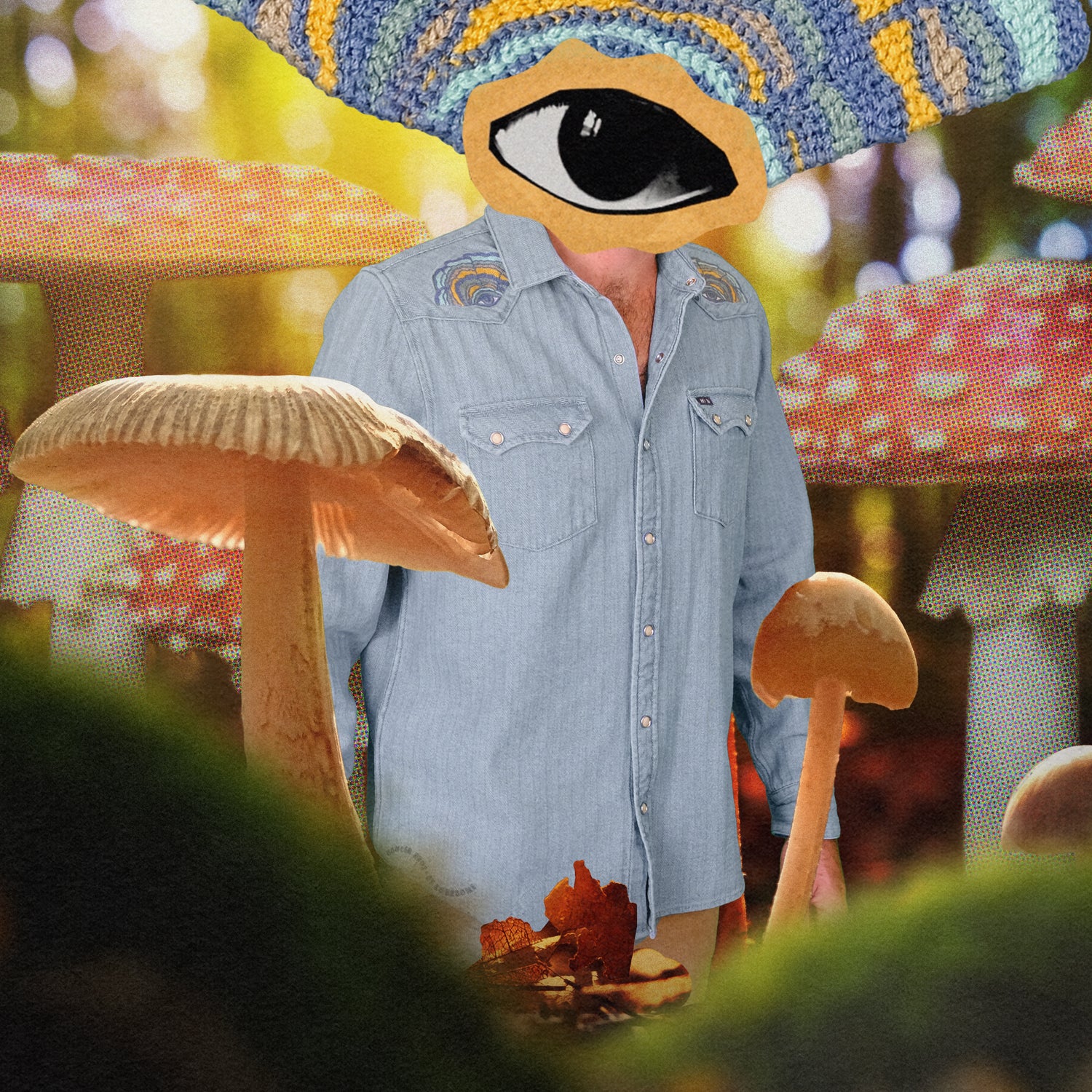 Ft. Lonesome Dust Up Denim Snapshirt - Haggard Herringbone