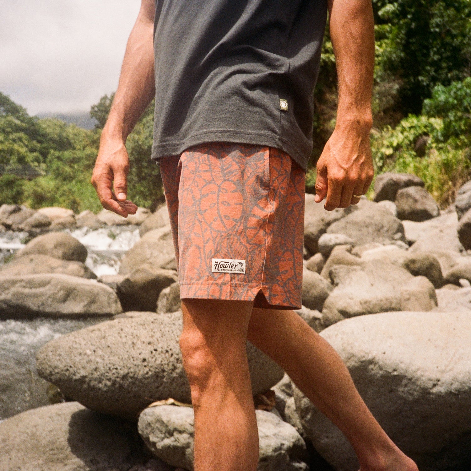 Deep Set Boardshorts 17" - Leafy Lithographs : Adobe