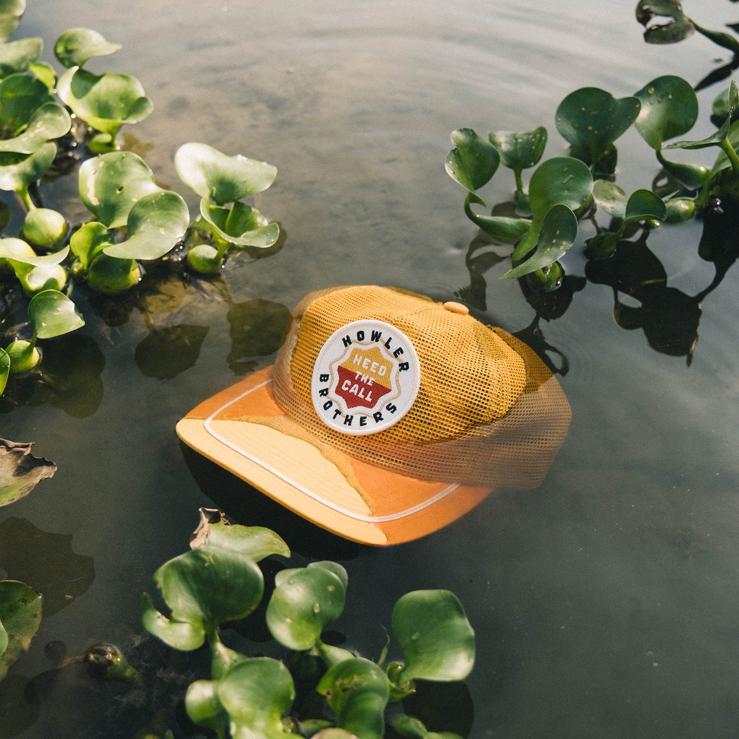 Farm Team Snapback - Gold