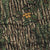 Swamp Country / 30/32