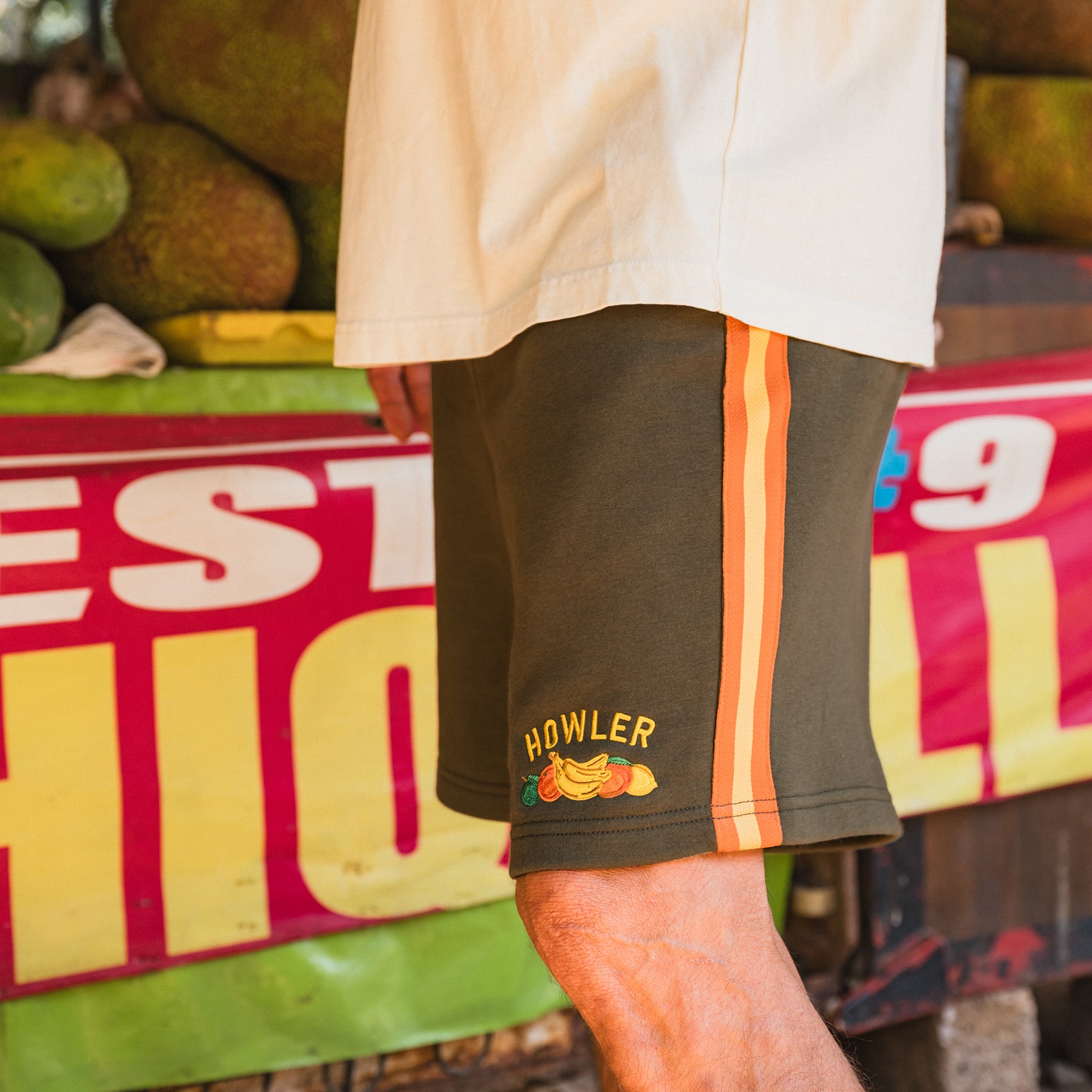 Frutería Palmetto Chill Shorts - Jungle – HOWLER BROTHERS