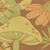 Fungi Forage : Duck Brown / 28