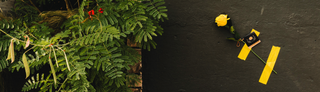 Hero banner image