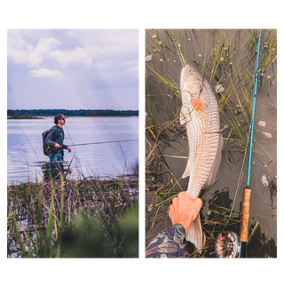 Side by side image
